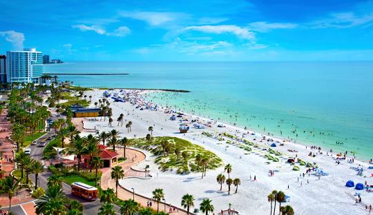 Printing Services in Clearwater, FL